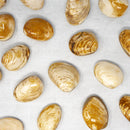 FOSSIL CLAM