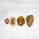 PETRIFIED WOOD SLAB