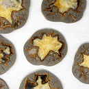 SEPTARIAN NODULE SLAB