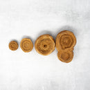 STROMATOLITE