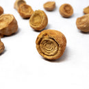 STROMATOLITE